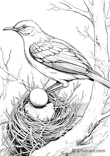 Brown thrasher Coloring Page For Kids